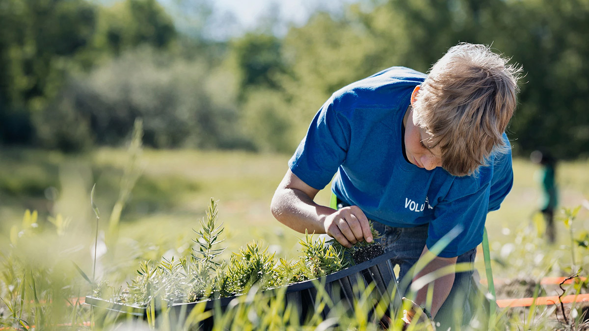 CI-PlantingSeeds.jpg